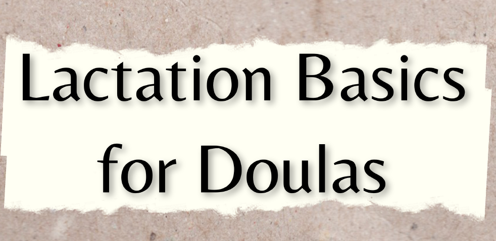 Lactation Basics for Doulas